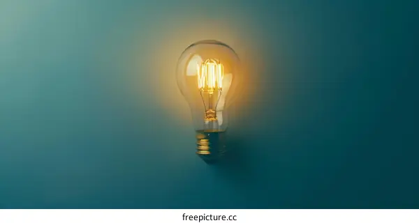 The Idea Light Bulb Concept