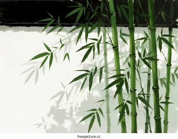 Bamboo Stems with Green Leaves Against White Wall Background
