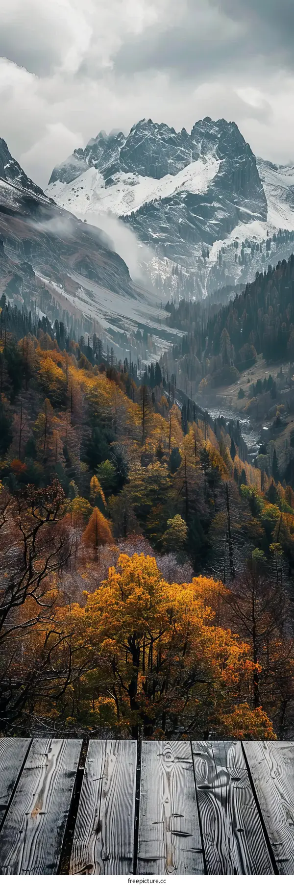 Wooden platform with a view of the mountains