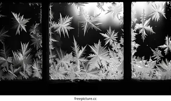 Black and white photo of frost on a window