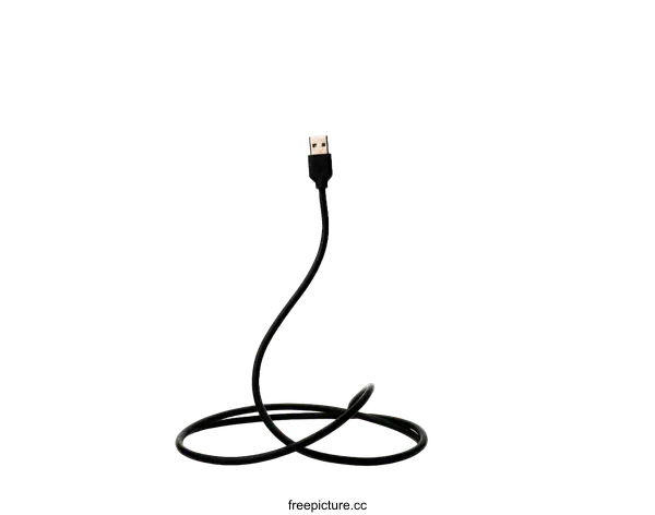 [Transparent Background PNG]Abstract Black USB Cable Design