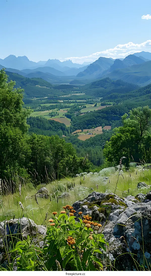 Mountainous Valley Landscape with Green Trees and Blue Sky