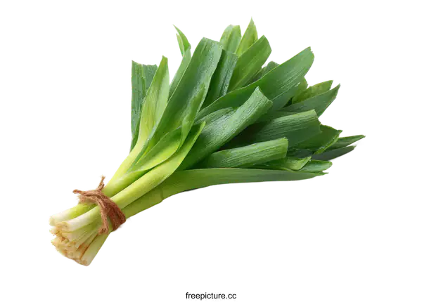 [Transparent Background PNG]Fresh Bunch of Scallions