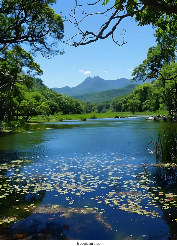Scenic Lake View With Mountain in the Background