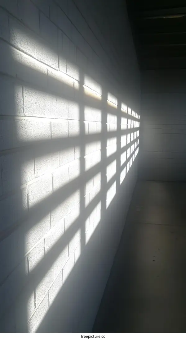 Sunlight Patterns on a Brick Wall