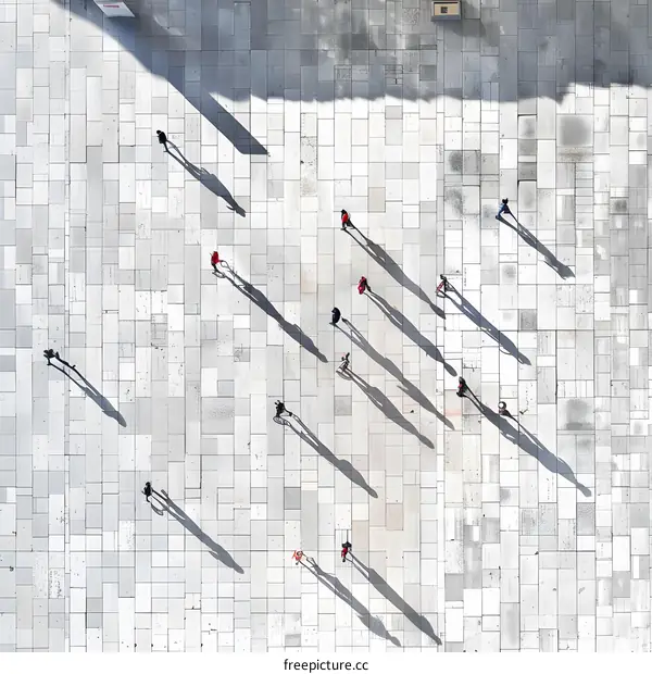 Aerial View of People Walking on Pavement with Long Shadows