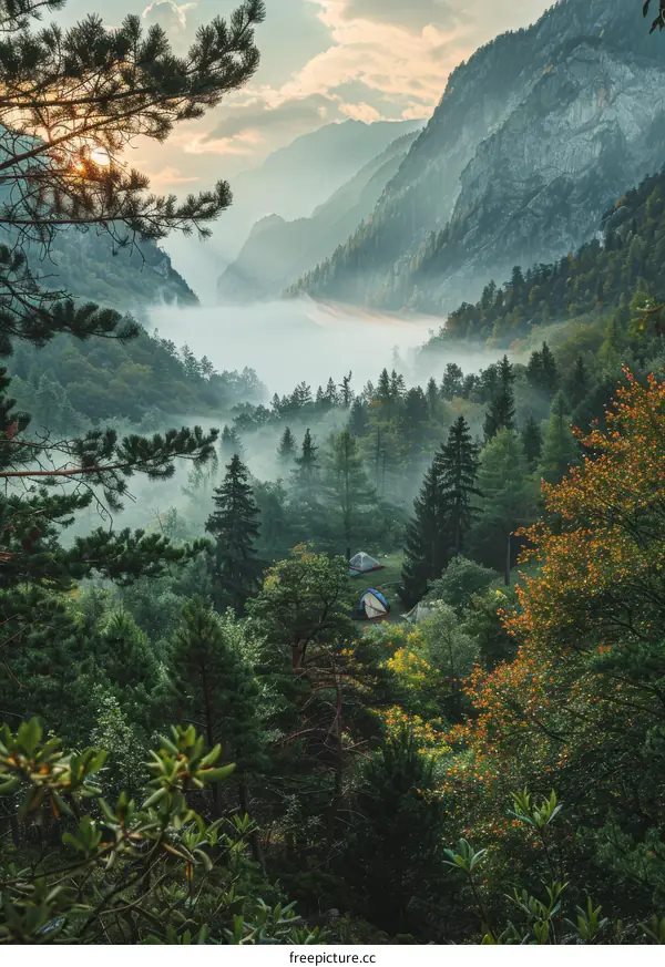 Misty Mountain Dawn Campsite