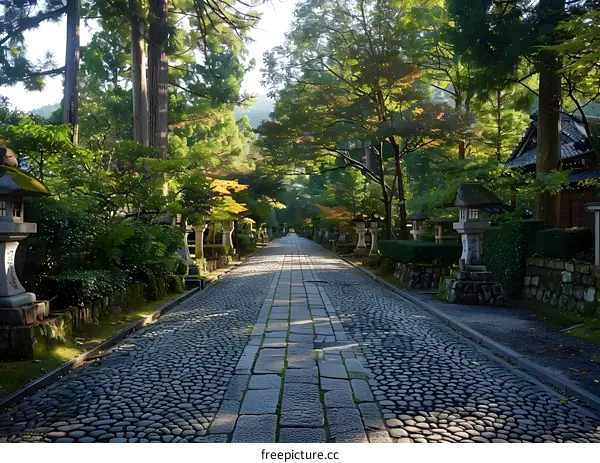 Stone path in a Japanese garden