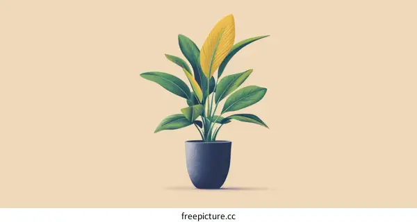 A potted plant with green and yellow leaves