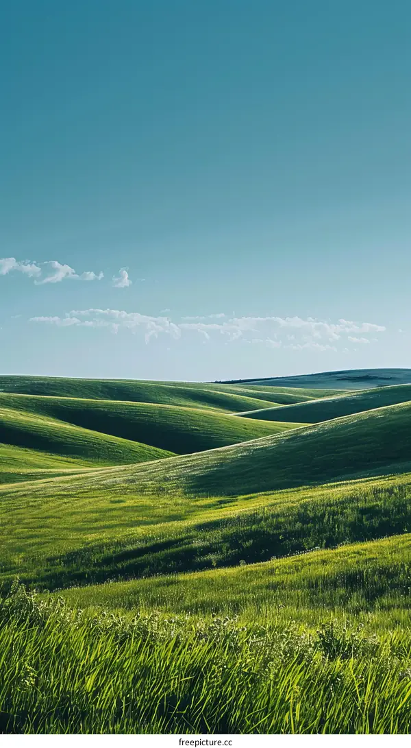 Grasslands undulate into the distance