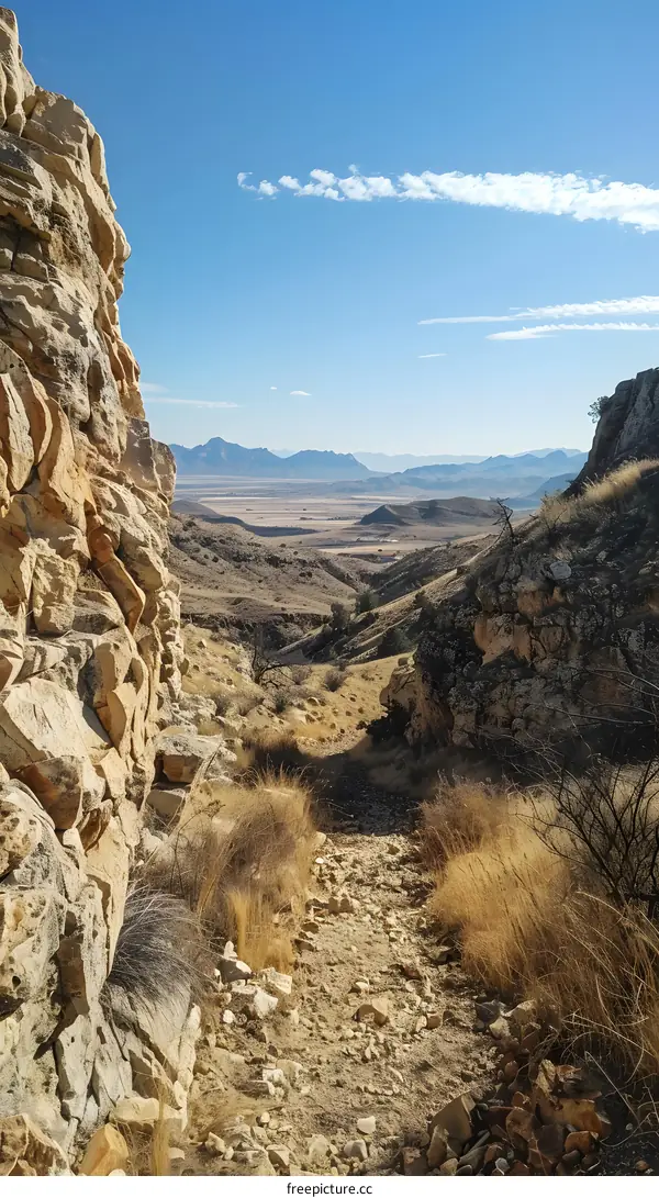 A Rocky Chasm in the Desert