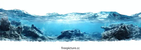 Underwater Coral Reef Landscape