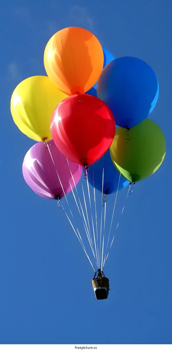 Colorful Balloons Flying High in the Sky