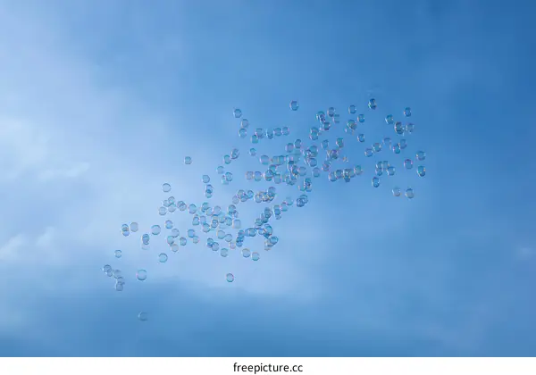 Colorful Soap Bubbles Floating in the Clear Blue Sky