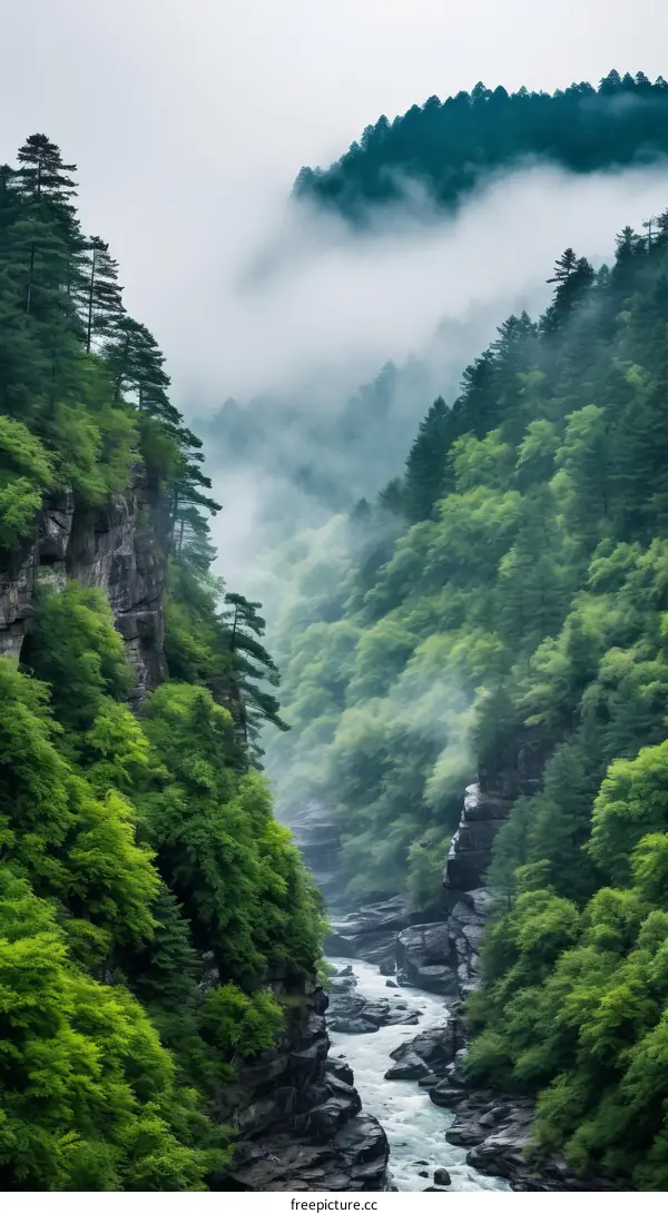 Serene River Flowing Through a Lush Green Canyon