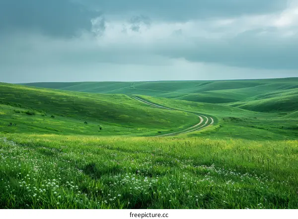 Rolling Green Hills Under a Cloudy Sky