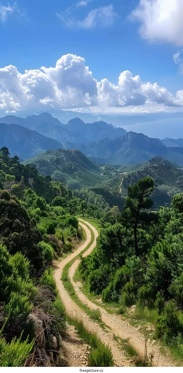 Winding Mountain Road with Scenic View