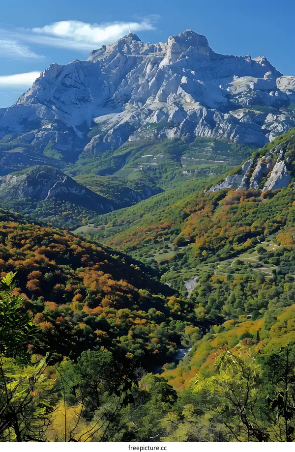 Mountain Landscape with Autumn Foliage and a River