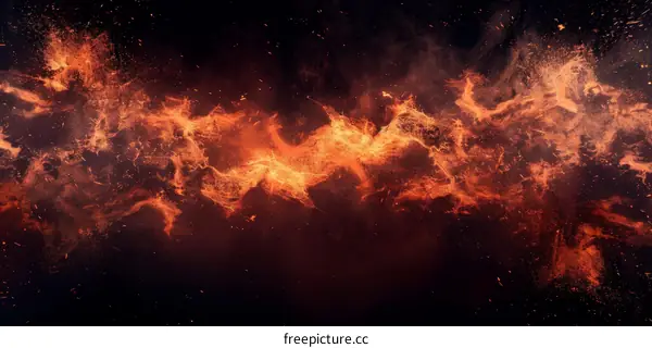 Fireworks in the Night Sky