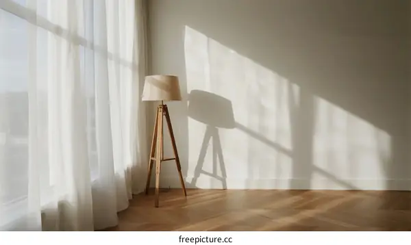 Sunlit room with a floor lamp and sheer curtains