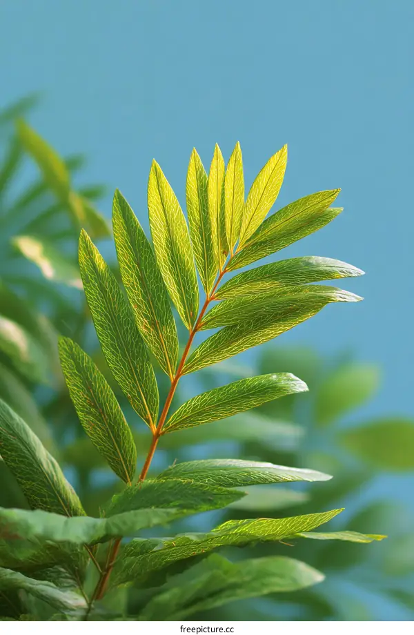 Vibrant Green Leaves Against a Light Blue Sky