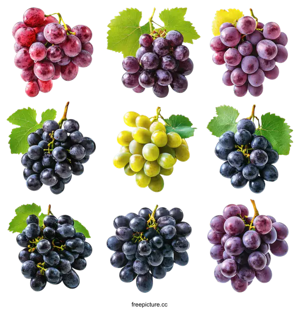 [Transparent Background PNG]Assortment of Fresh Grapes