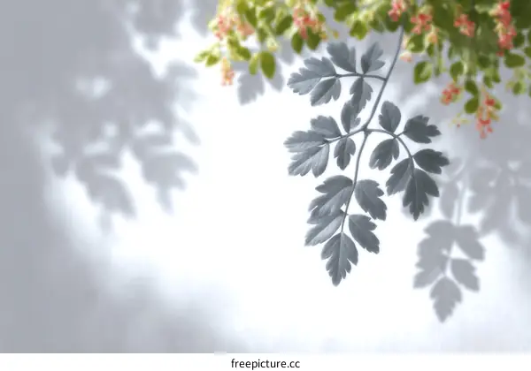 Elegant Shadow Play of Leaves on a Light Background