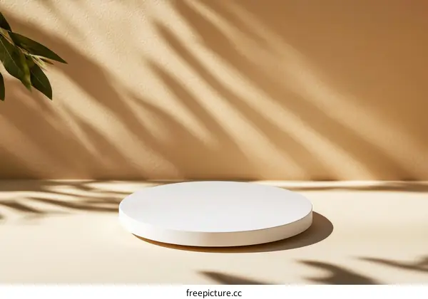 Minimalist Modern Product Showcase with Natural Sunlight