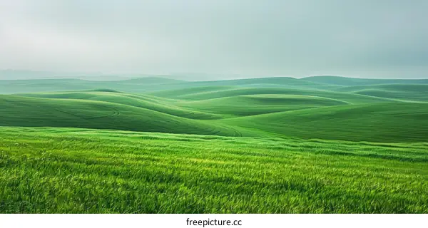 Rolling Green Hills Landscape Photography