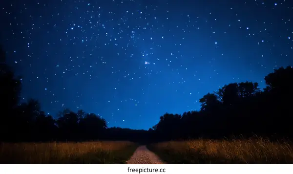 Starry Night Sky Over a Country Road