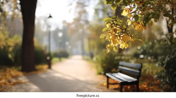 Autumn Park Pathway with Golden Leaves and Bench