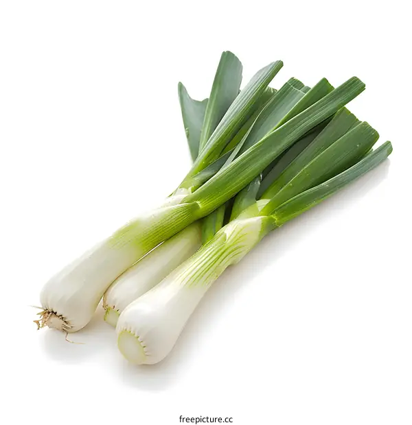 Fresh Green Onions on White Background