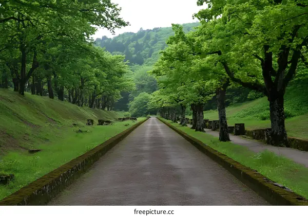 Pathway Through Green Forest with Stone Walls