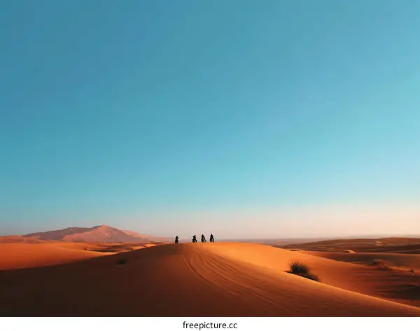 Desert Adventure with Tourists