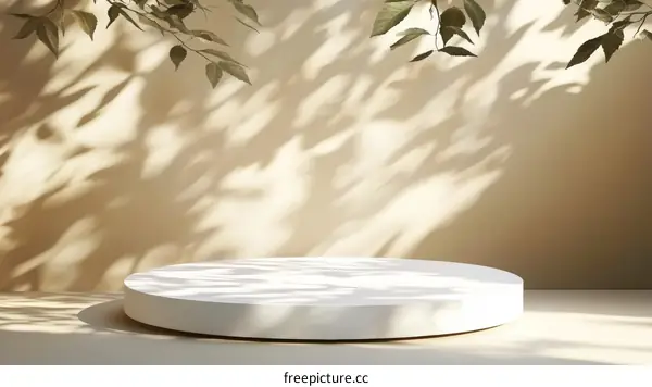 Elegant Minimalist Product Showcase with Natural Light