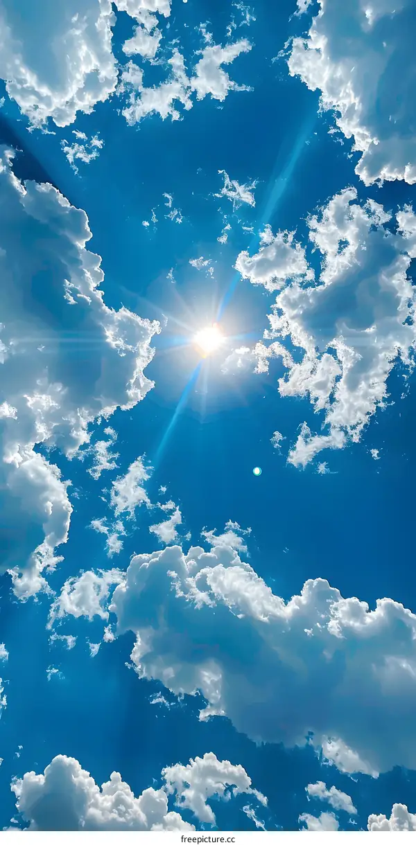 Looking up at the sky