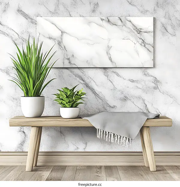 Minimalist Home Interior Design With Wooden Bench and Plants