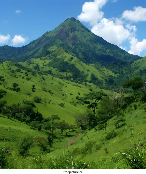 A verdant mountain landscape with a dirt path
