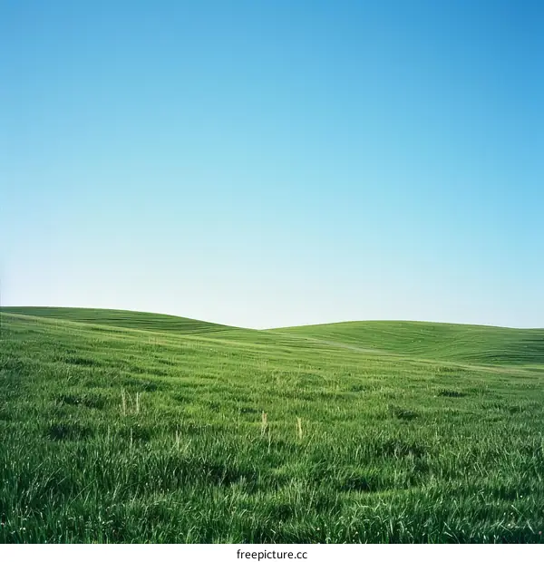 Green rolling hills under blue sky