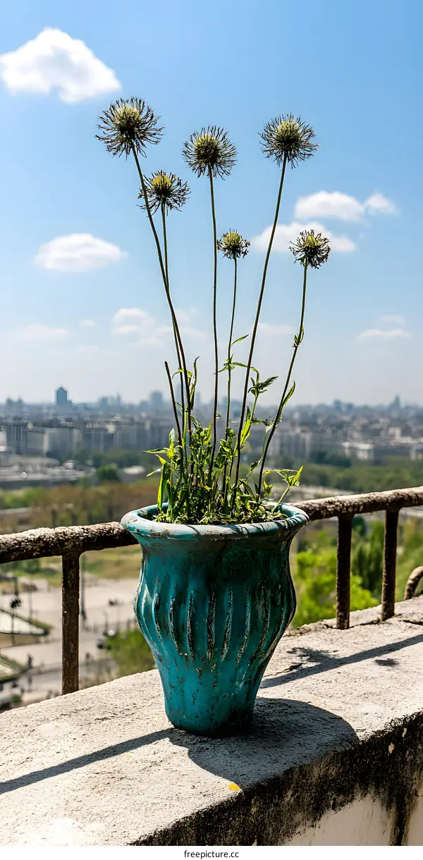 Blue Potted Plant with City Skyline in Background