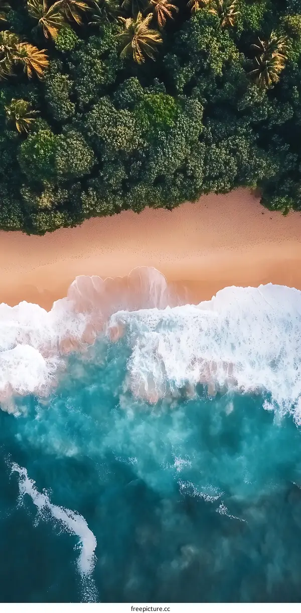 Aerial View of Tropical Beach with White Sand and Turquoise Water