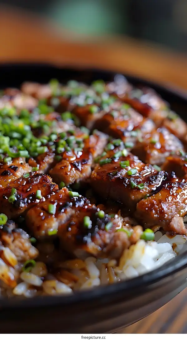 Close Up of Glazed Meat and Rice in Bowl