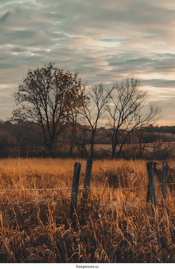 Autumn Sunset Field with Wooden Fence