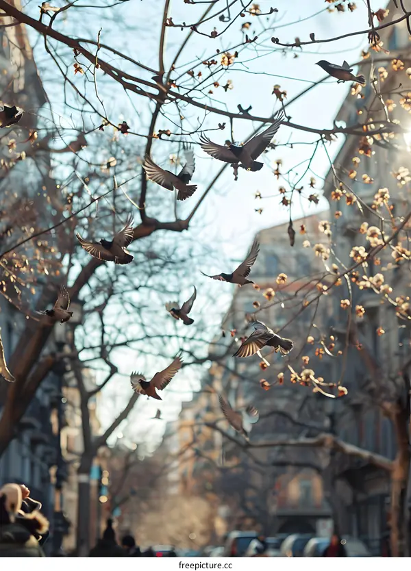 Birds Flying Through Tree Branches in City