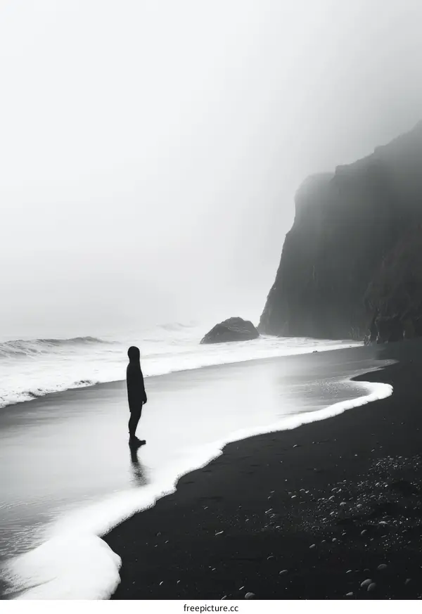 black sand beach iceland dramatic sky water alone