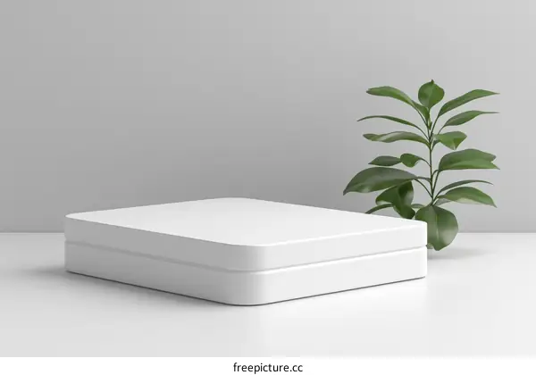 Modern Minimalist White Product Display Platform