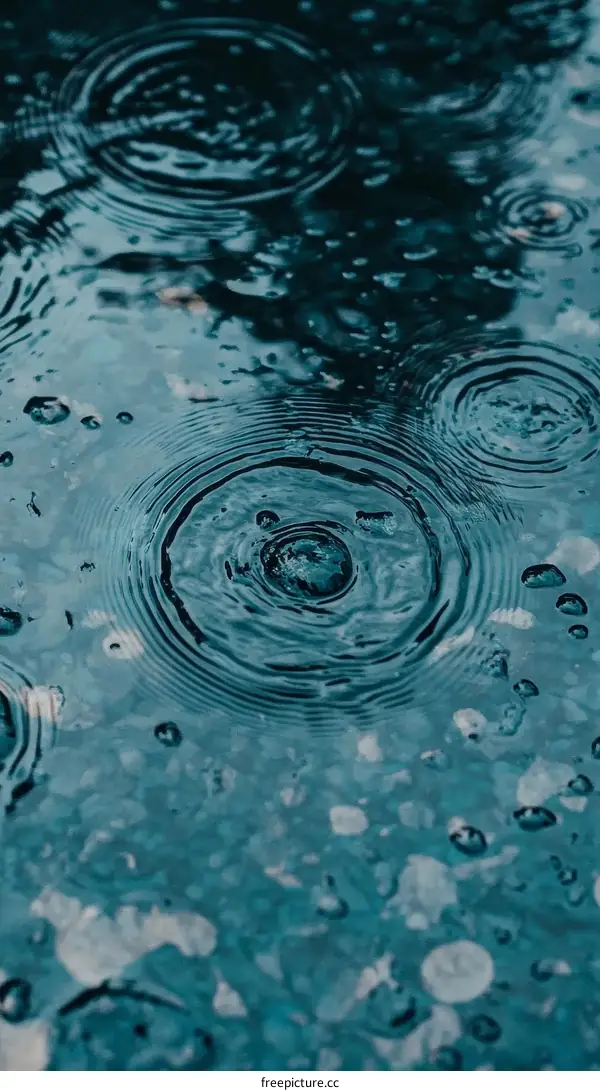 Rain Drops Ripples on a Puddle