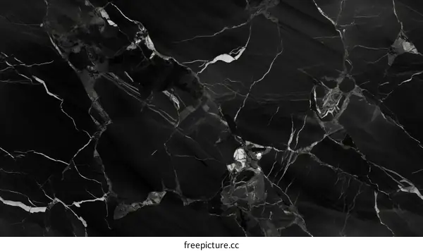 Black marble texture with white veins
