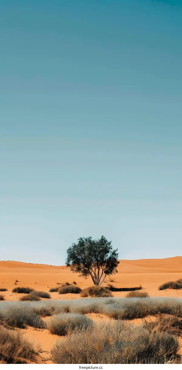 Lone Tree in Desert Landscape