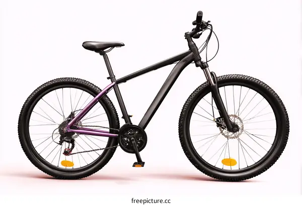 Stylish Black Mountain Bike with Purple Accents